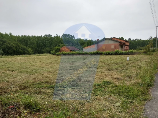 Terreno para Venda em Oliveira do Bairro