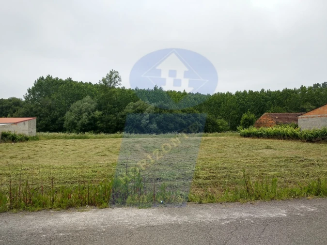 Terreno para Venda em Oliveira do Bairro Foto 3