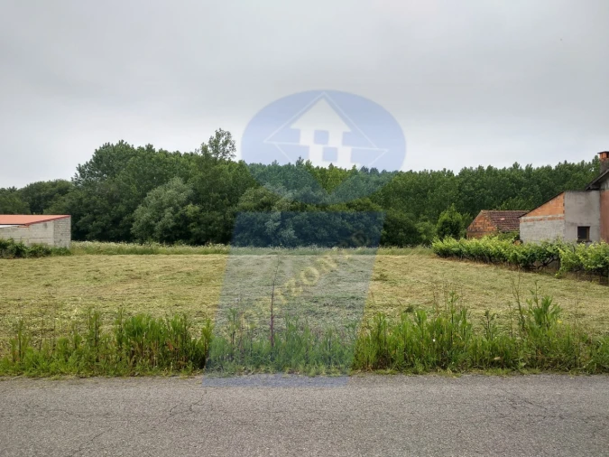Terreno para Venda em Oliveira do Bairro Foto 5