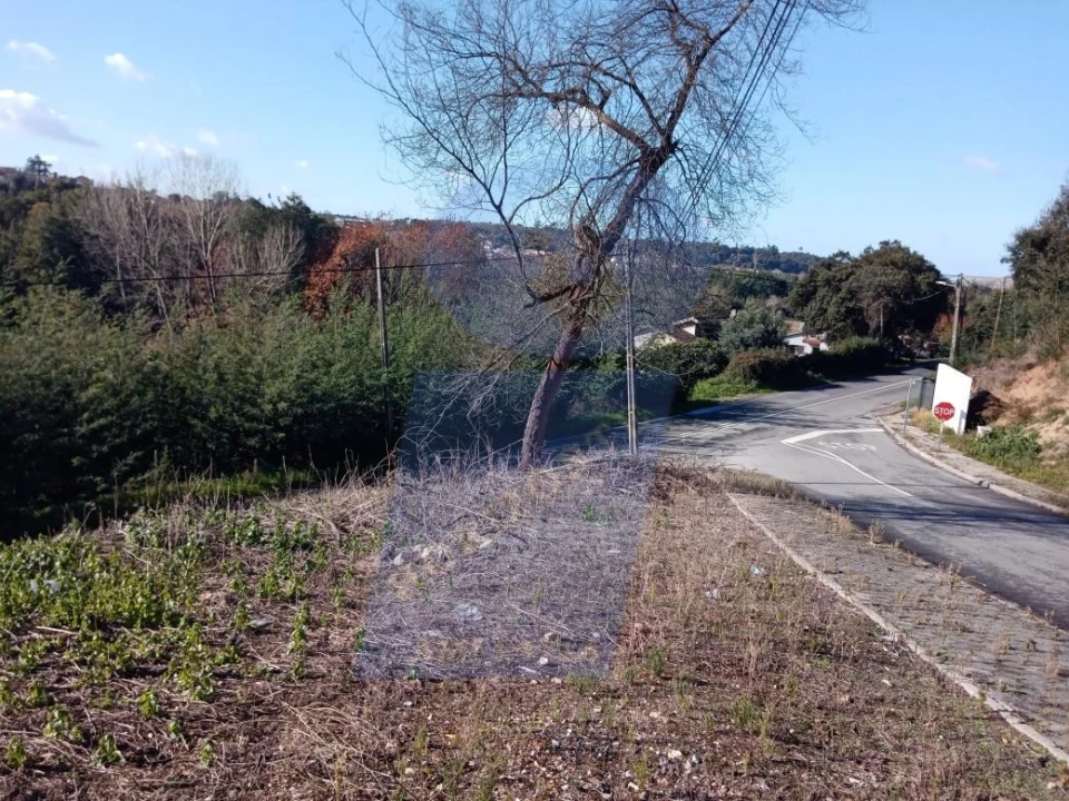 Terreno para Venda em Águeda e Borralha Foto 6