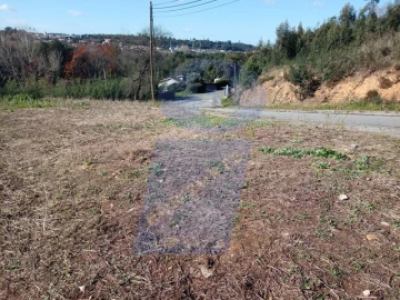 Terreno para Venda em Águeda e Borralha