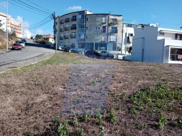 Terreno para Venda em Águeda e Borralha