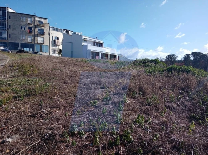 Terreno para Venda em Águeda e Borralha Foto 5