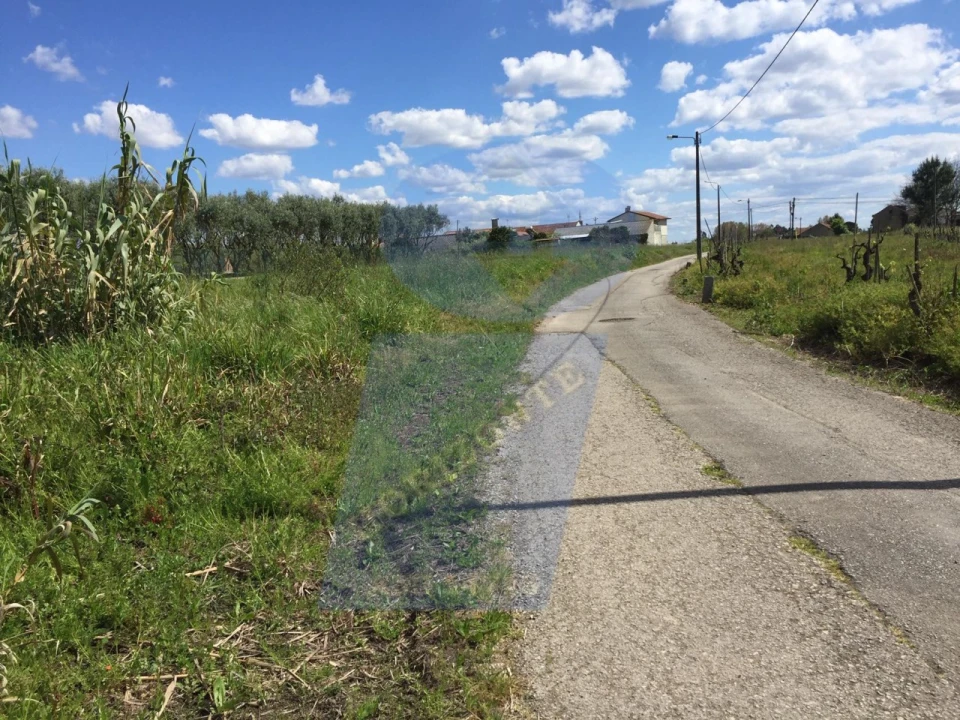 Terreno para Venda em Bustos, Troviscal e Mamarrosa Foto 3