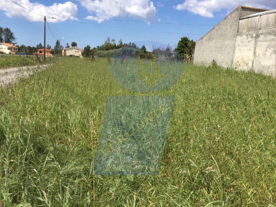 Terreno para Venda em Bustos, Troviscal e Mamarrosa Foto 1
