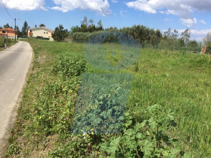 Terreno para Venda em Bustos, Troviscal e Mamarrosa Foto 2