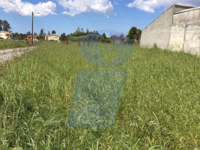 Terreno para Venda em Bustos, Troviscal e Mamarrosa