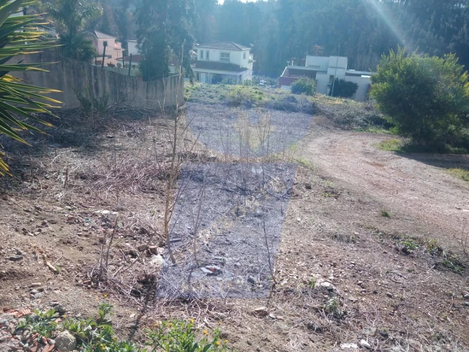 Terreno para Venda em Águeda e Borralha Foto 3