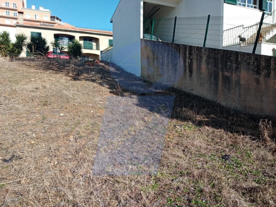 Terreno para Venda em Águeda e Borralha Foto 5