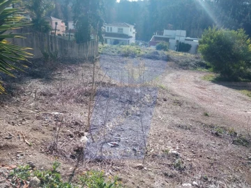 Terreno para Venda em Águeda e Borralha