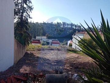 Terreno para Venda em Águeda e Borralha