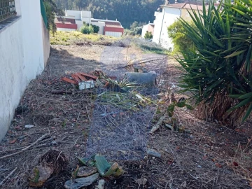 Terreno para Venda em Águeda e Borralha