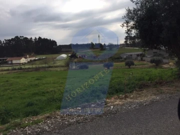 Terreno para Venda em Bustos, Troviscal e Mamarrosa