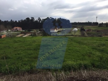 Terreno para Venda em Bustos, Troviscal e Mamarrosa