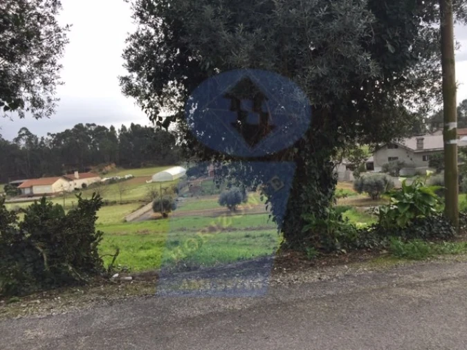 Terreno para Venda em Bustos, Troviscal e Mamarrosa Foto 3
