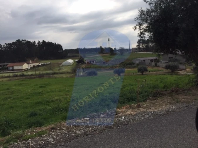 Terreno para Venda em Bustos, Troviscal e Mamarrosa Foto 2