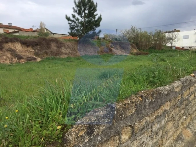 Terreno para Venda em Bustos, Troviscal e Mamarrosa Foto 4
