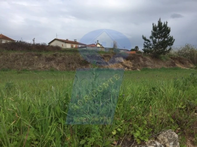 Terreno para Venda em Bustos, Troviscal e Mamarrosa Foto 5