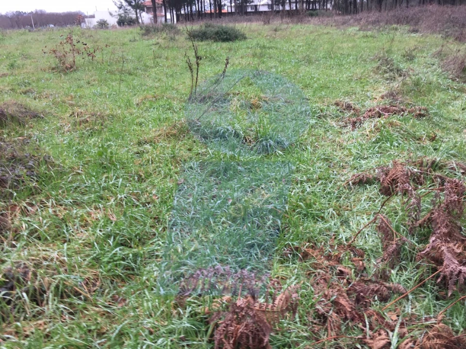 Terreno Agricola ou Rústico para Venda em Oiã Foto 4