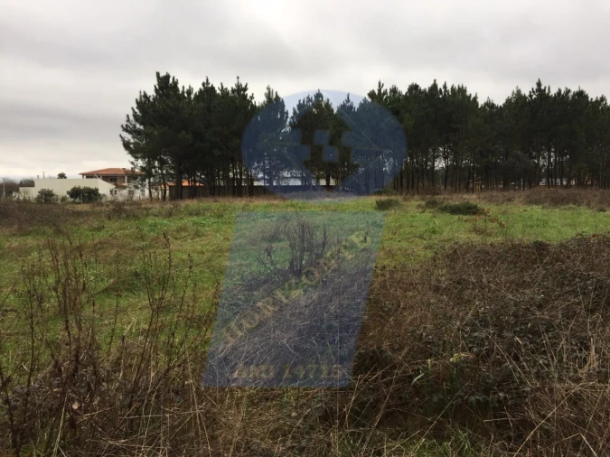 Terreno Agricola ou Rústico para Venda em Oiã Foto 1