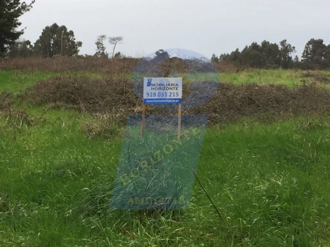 Terreno Agricola ou Rústico para Venda em Oiã Foto 2