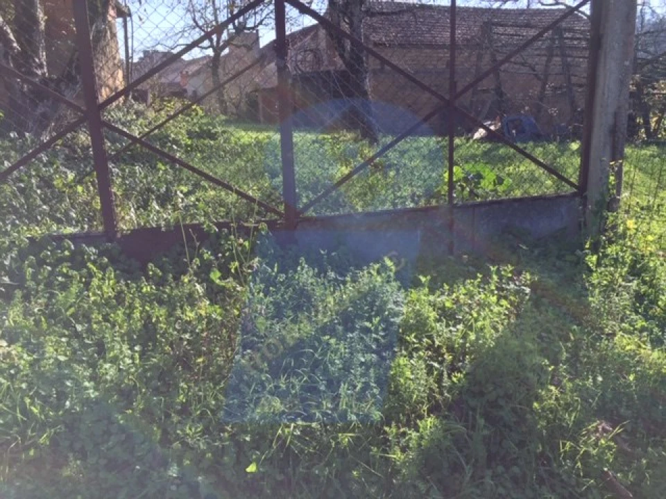 Terreno para Venda em Amoreira da Gândara, Paredes do Bairro e Ancas Foto 4