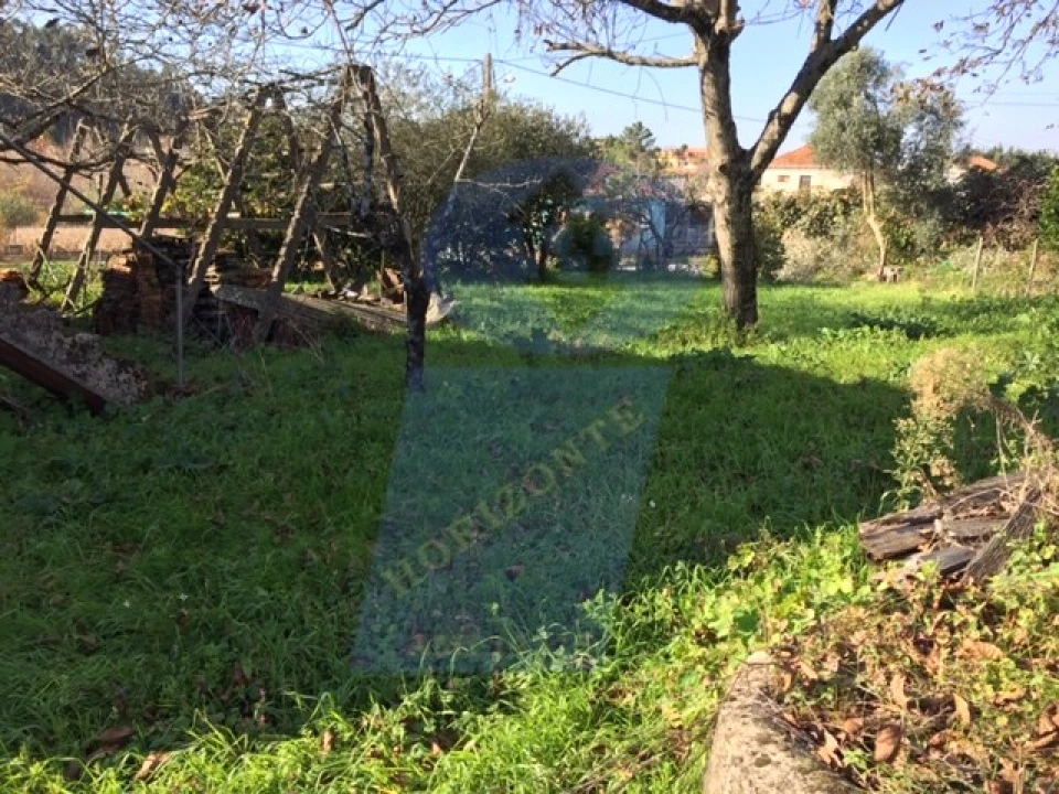 Terreno para Venda em Amoreira da Gândara, Paredes do Bairro e Ancas Foto 3