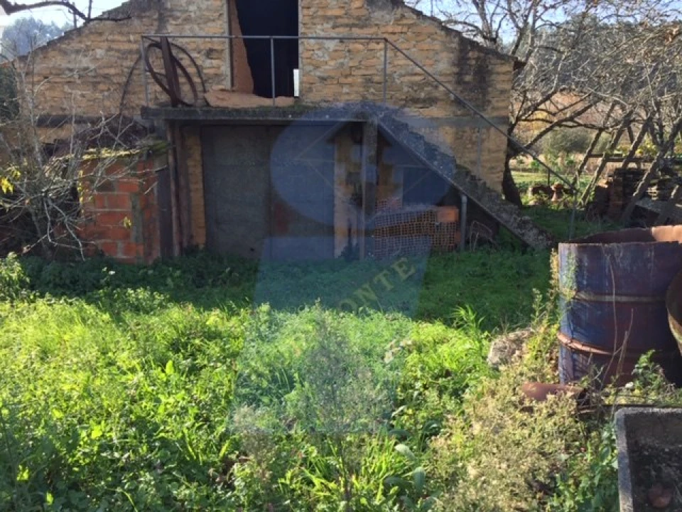 Terreno para Venda em Amoreira da Gândara, Paredes do Bairro e Ancas Foto 6