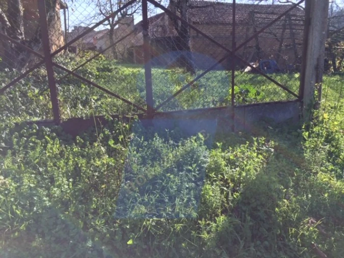 Terreno para Venda em Amoreira da Gândara, Paredes do Bairro e Ancas Foto 4