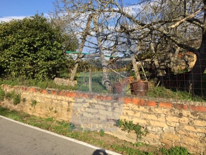Terreno para Venda em Amoreira da Gândara, Paredes do Bairro e Ancas Foto 5