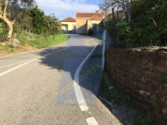 Terreno para Venda em Amoreira da Gândara, Paredes do Bairro e Ancas Foto 13