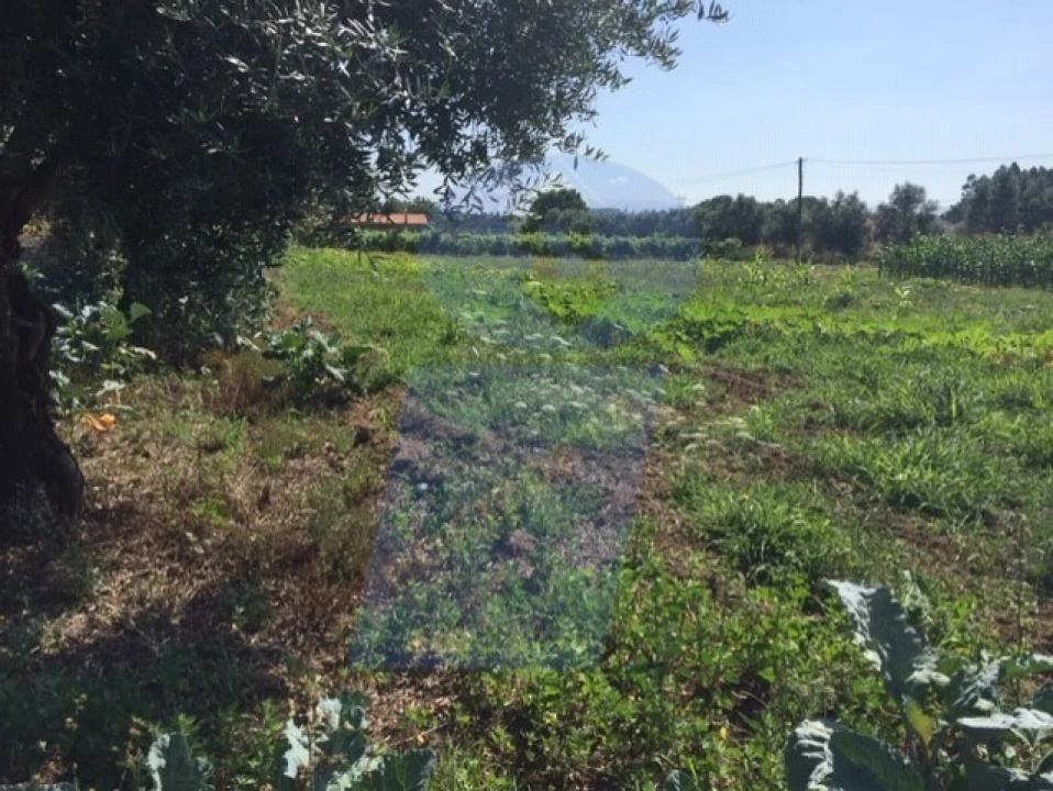 Terreno para Venda em São Lourenço do Bairro Foto 3