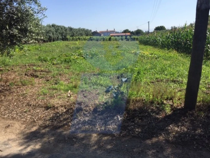 Terreno para Venda em São Lourenço do Bairro Foto 1
