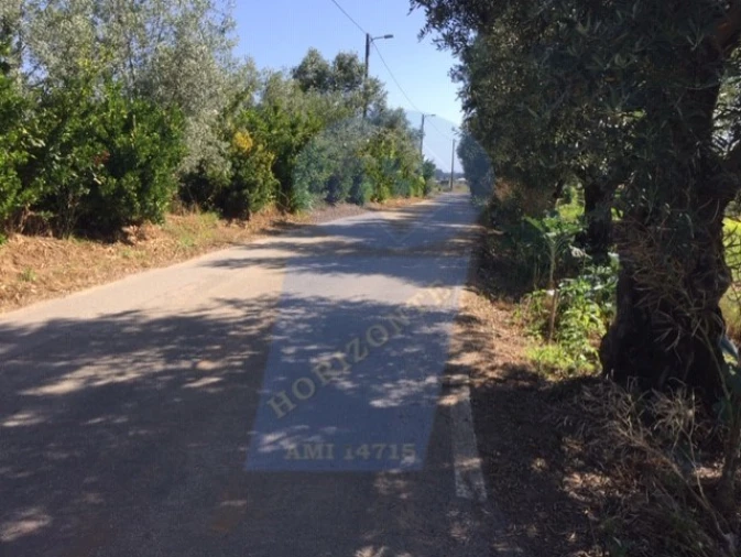 Terreno para Venda em São Lourenço do Bairro Foto 2