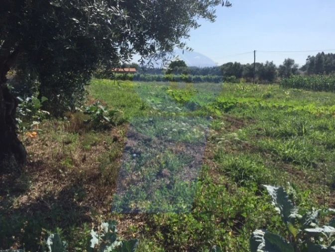 Terreno para Venda em São Lourenço do Bairro Foto 3
