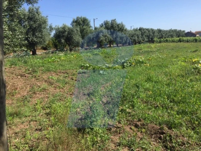 Terreno para Venda em São Lourenço do Bairro Foto 4