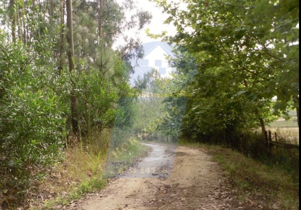 Terreno para Venda em Ouca Foto 2