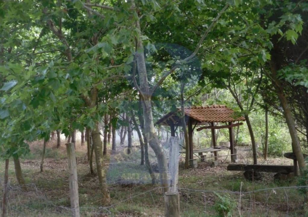 Terreno para Venda em Ouca Foto 3