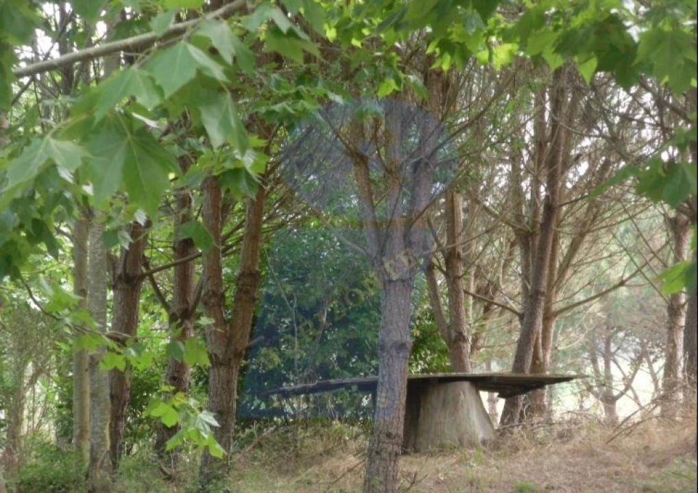 Terreno para Venda em Ouca Foto 6