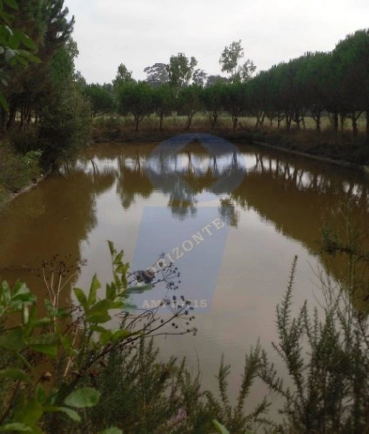 Terreno para Venda em Ouca Foto 4