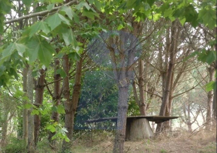 Terreno para Venda em Ouca Foto 6