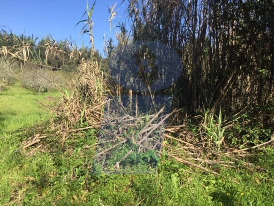 Terreno para Venda em Tamengos, Aguim e Óis do Bairro Foto 4