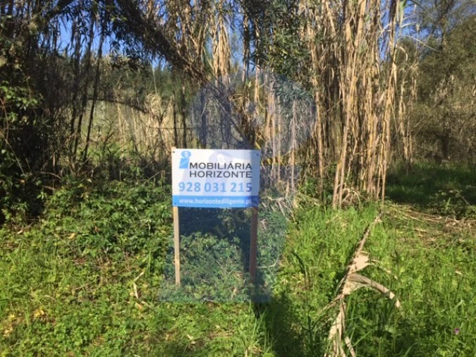 Terreno para Venda em Tamengos, Aguim e Óis do Bairro Foto 2