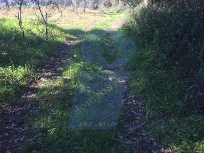 Terreno para Venda em Tamengos, Aguim e Óis do Bairro Foto 3