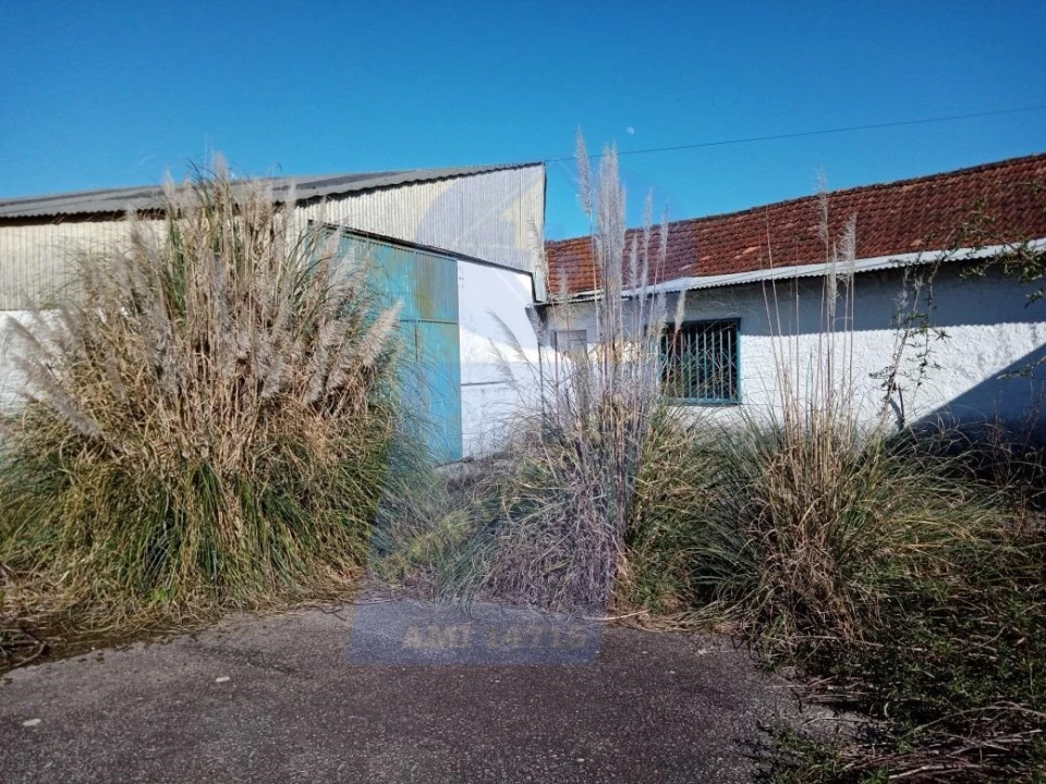 Prédio para Venda em Águeda e Borralha Foto 4
