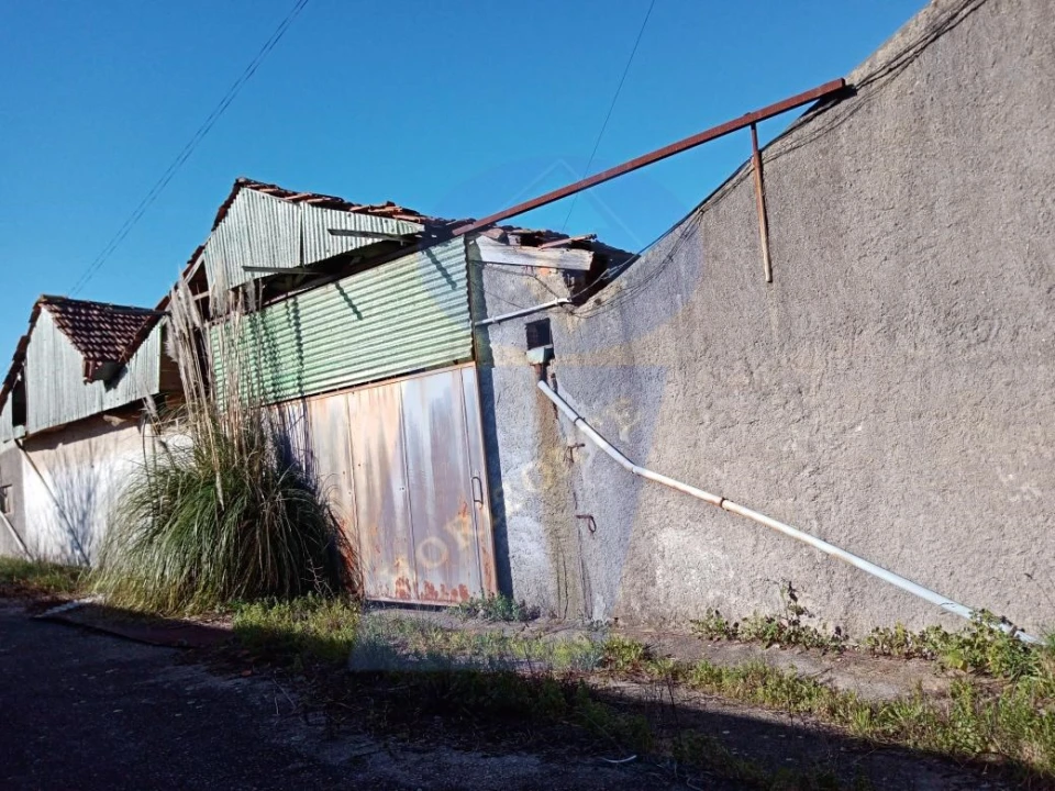 Prédio para Venda em Águeda e Borralha Foto 6