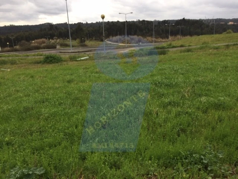Terreno P/ Prédio para Venda em Oliveira do Bairro Foto 5