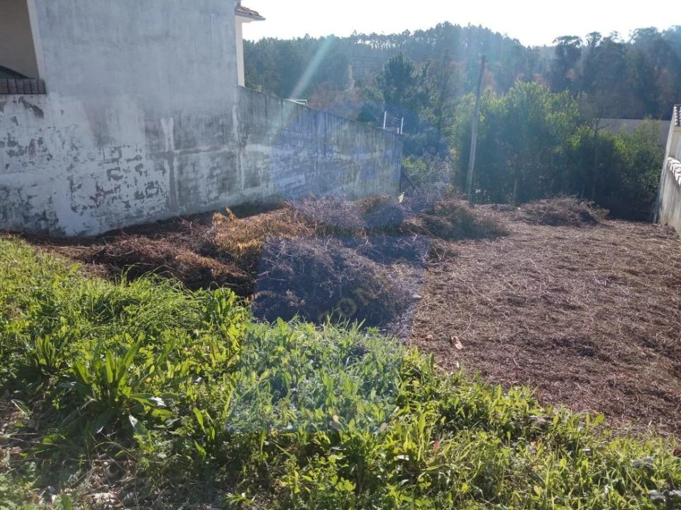 Terreno para Venda em Aguada de Cima Foto 2