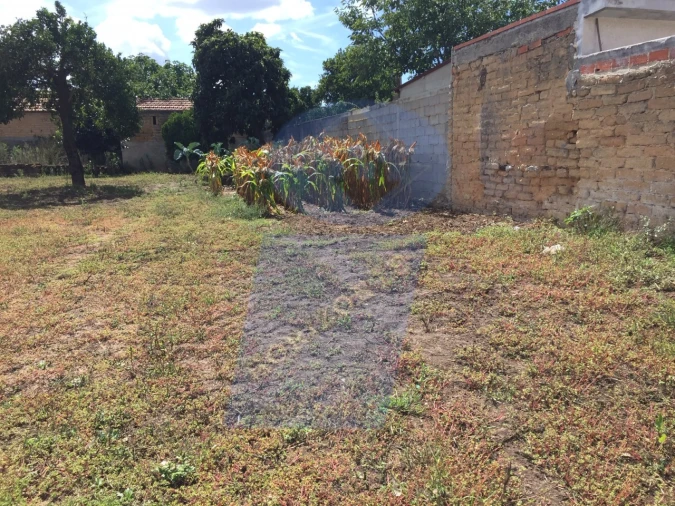 Terreno para Venda em Amoreira da Gândara, Paredes do Bairro e Ancas Foto 2