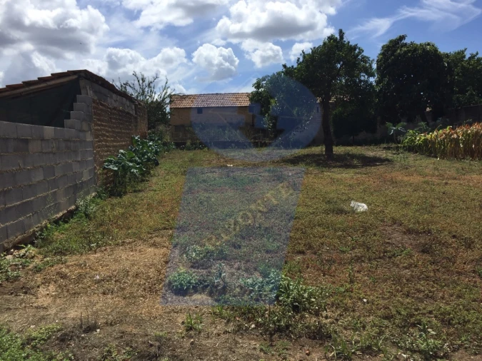 Terreno para Venda em Amoreira da Gândara, Paredes do Bairro e Ancas Foto 4